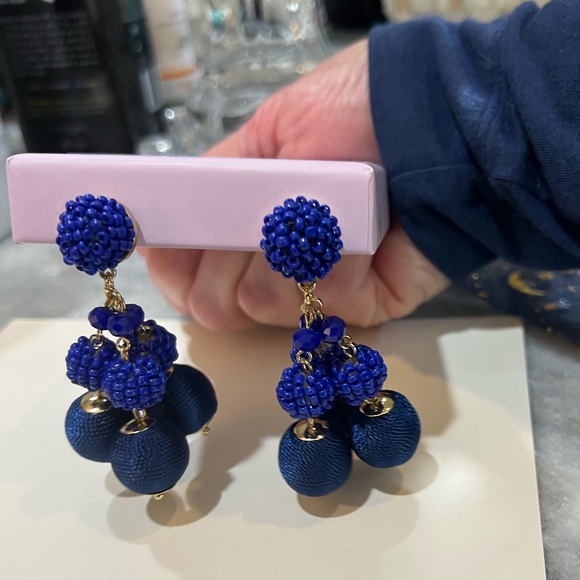 Lilly Pulitzer Jewelry - Lilly Pulitzer Clip On Earrings. Midnight and Royal blue.